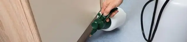Bed bug exterminator treating baseboards and cracks with targeted spray in Ann Arbor, MI