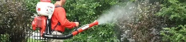 Mosquito control technician fogging shrubs and landscaping for mosquito treatment in Ann Arbor, MI
