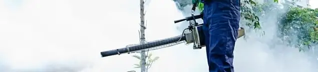 Pest control technician fogging an outdoor area for insect control in Ann Arbor, MI