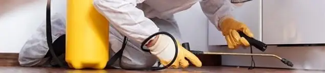 Roach exterminator treating cracks and crevices along kitchen baseboards in Ann Arbor, MI