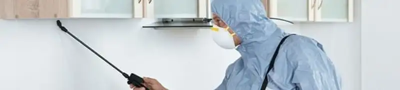 Termite treatment technician applying indoor pest control spray in Ann Arbor, MI